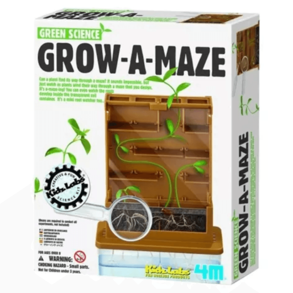 Juego De Germinación En Un Laberinto Fm352